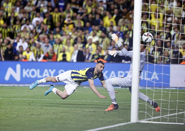 仅会成为新 仅会成为新